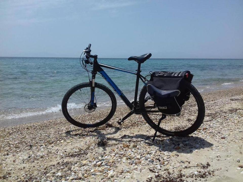 Zoi Apartments Paralia Dionysiou Exteriör bild