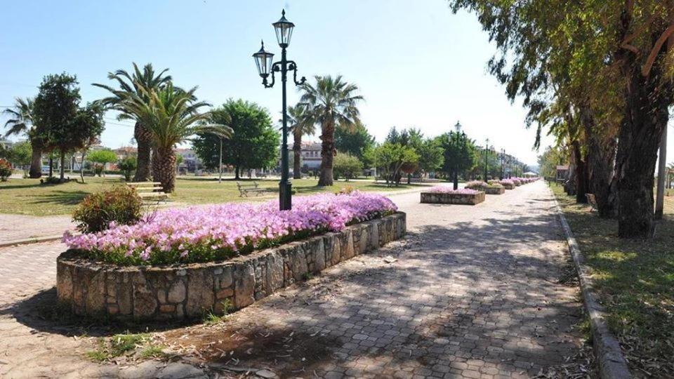 Zoi Apartments Paralia Dionysiou Exteriör bild